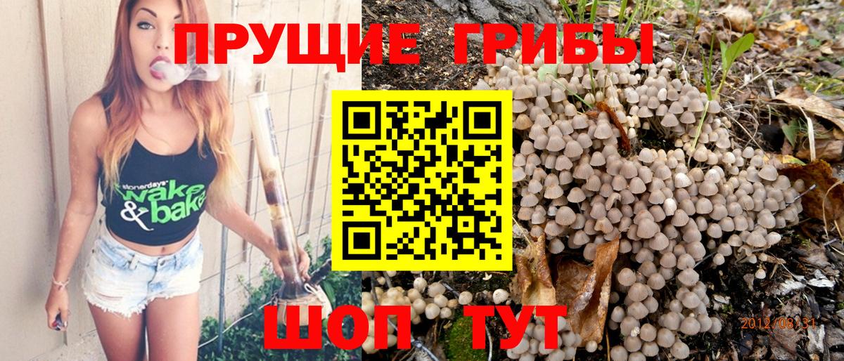 Галлюциногенные грибы прущие грибы Кулебаки